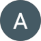Ann Avatar